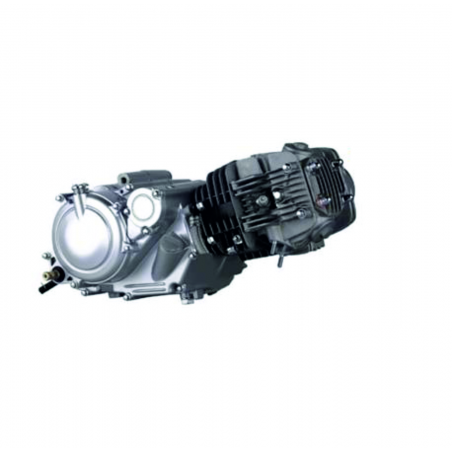 MOTORE 110cc. ZS [1434]