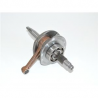 ALBERO MOTORE GPX D16