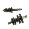 CAMBIO GPX 155-160